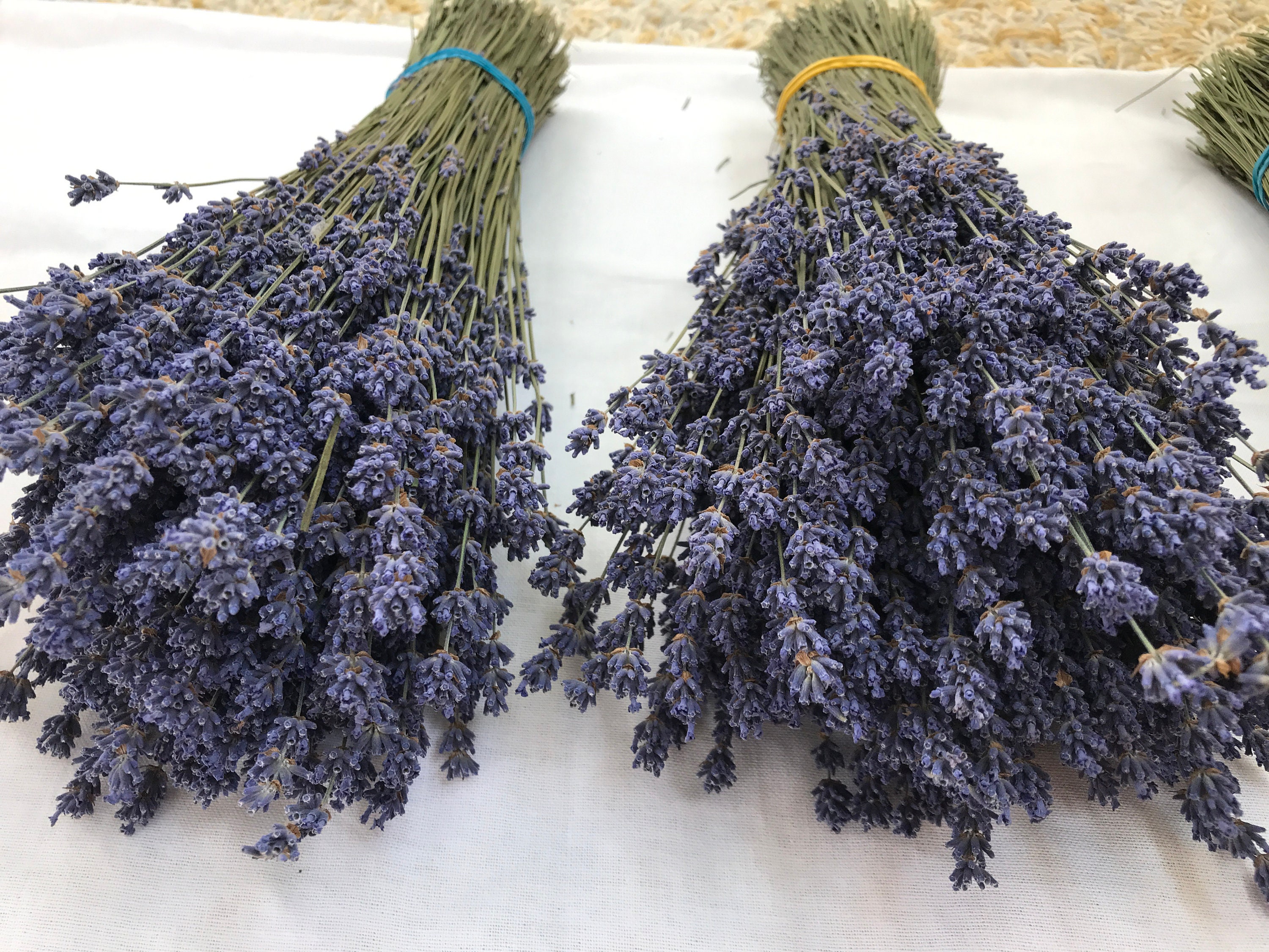 300 stalks of lavender, Dry bouquet of fragrant purple lavender, Natural wedding decor.