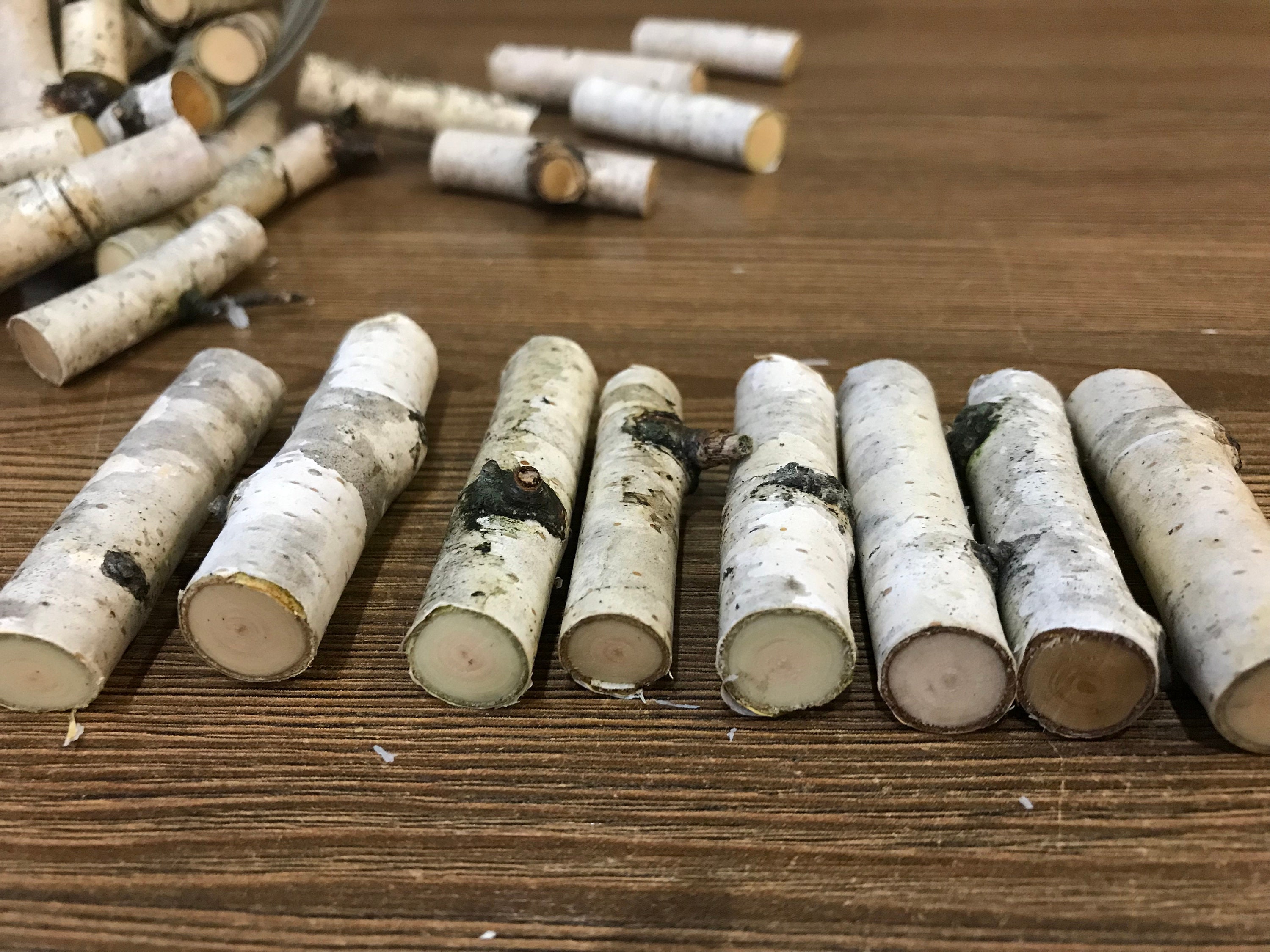 Set of 50 birch branches, white natural birch sticks, natural home decor