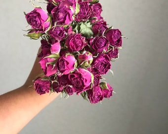 Bouquet, roses roses, décoration intérieure, matière naturelle