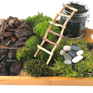 Live Moss Terrarium Starter Kit: Spagnum, Deer Moss, Soil, Bark image 3