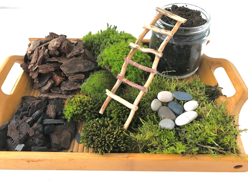 Live Moss Terrarium Starter Kit: Spagnum, Deer Moss, Soil, Bark image 3
