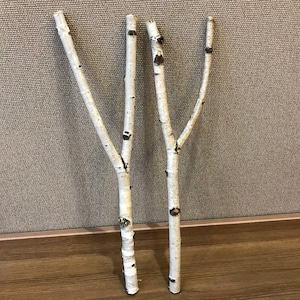 White Birch Branches (Set of 2) - Natural Home Decor