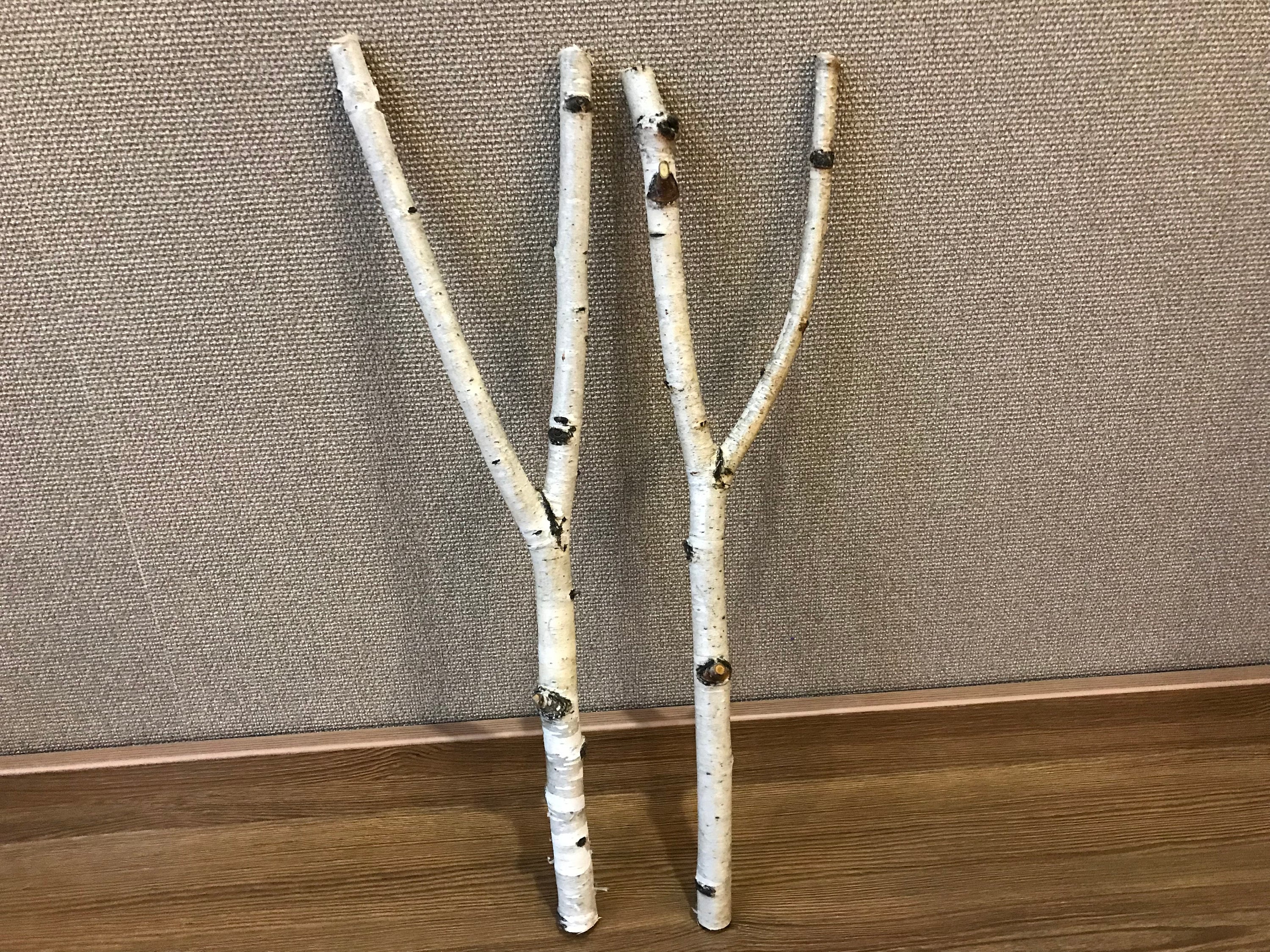 Set of 2 birch branches white natural birch sticks natural Etsy