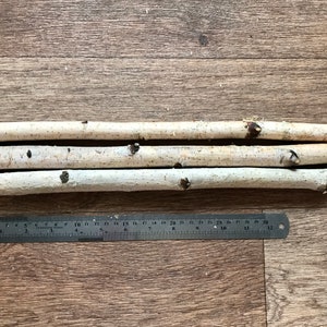 Set of 3 small 14&quot; birch sticks, white birch branches, natural wood decor