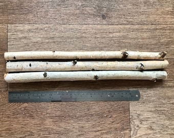 Set of 3 small 14" birch sticks, white birch branches, natural wood decor