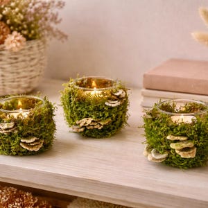 Könnte beinhalten: Drei Glaskerzenhalter sind mit grünem Moos und kleinen, beigen Pilzen verziert. Jeder Kerzenhalter enthält eine brennende Kerze. Die Kerzenhalter stehen auf einer hellen Holzoberfläche.