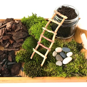 Live Moss Terrarium Starter Kit: Spagnum, Deer Moss, Soil, Bark image 6