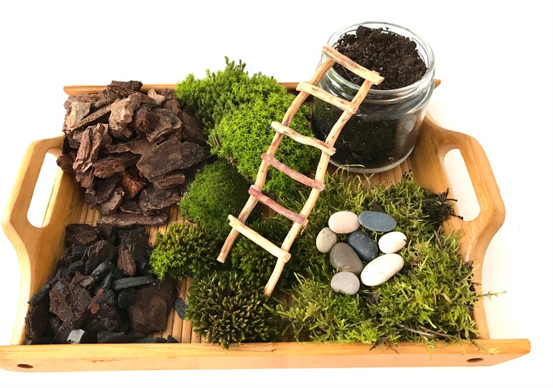 Live Moss Terrarium Starter Kit: Spagnum, Deer Moss, Soil, Bark image 6