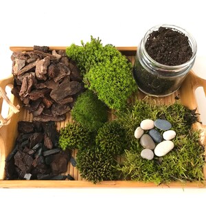Live Moss Terrarium Starter Kit: Spagnum, Deer Moss, Soil, Bark image 2