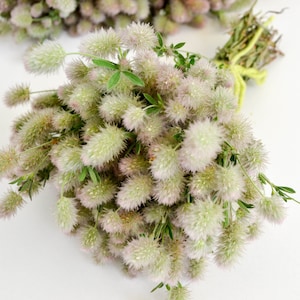 Dry plants, fluffy bouquet, wedding decor, table decoration, bridal bouquet, floristry, natural material