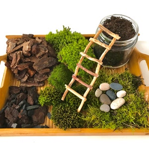 Live Moss Terrarium Starter Kit: Spagnum, Deer Moss, Soil, Bark image 7