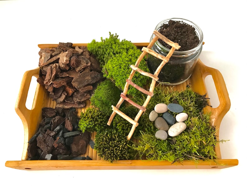 Live Moss Terrarium Starter Kit: Spagnum, Deer Moss, Soil, Bark image 7