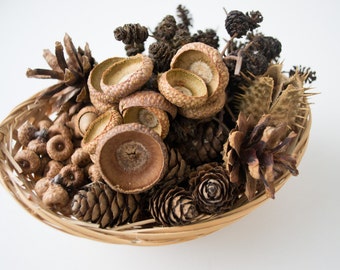 Natural Dried Pine Cone and Acorn Set, Christmas Vase Filler