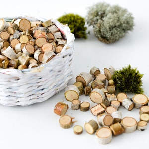 Birch set 50  gr. / Birch pieces / Wooden decor / Set of birch branches / Wedding decor