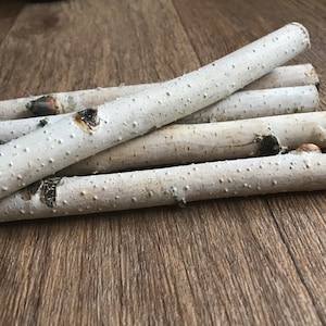 Set of 5 small 7.5&quot; birch sticks, white birch branches, natural wood decor