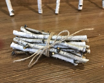 Set of birch branches, white natural birch sticks, natural home decor