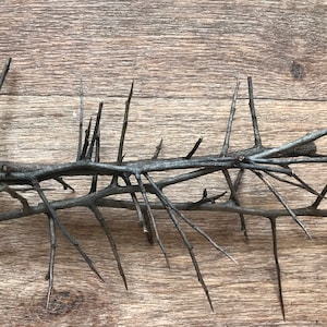 Wild pear branches with thorns / Symbol of immortality / dry branches, thorny branches / natural material / pagan tree.