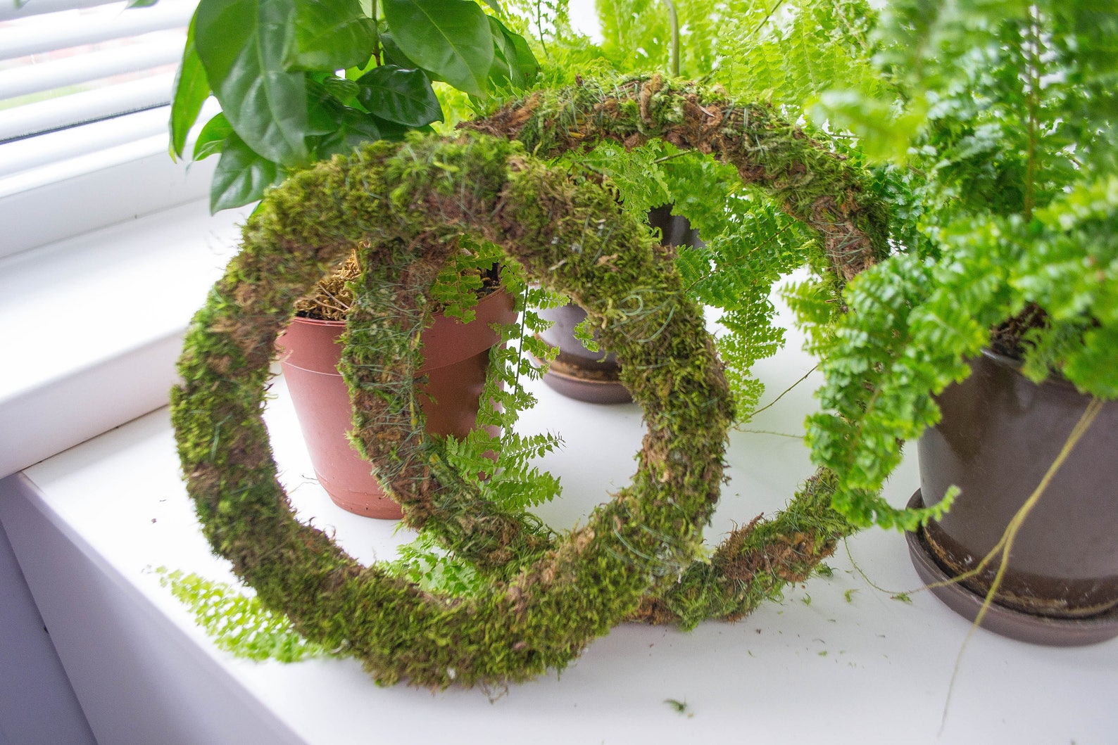 Green Wreath Made of Moss Home Decor Wreath at the Door Etsy