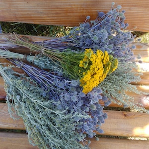 Prickly thistle, fresh harvest, home amulet. Dry bouquet of thistle blue, thistles, dried flowers, image 3