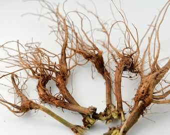 Wooden decor, dry plant roots, floral material, vase filler, roots, home decoration, natural material,