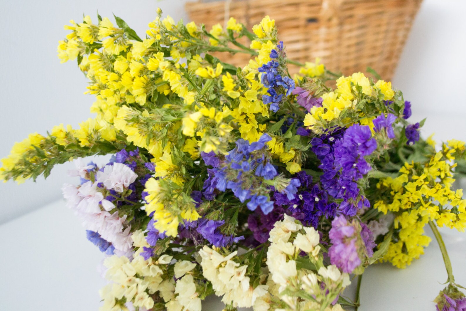 Statice dry flowers bright bouquet wedding decordried Etsy