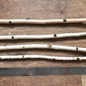Set of 4 small 12&quot;  sticks, white birch branches, natural wood decor