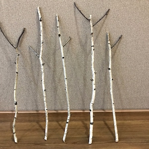 Set of 5 birch branches, white natural birch sticks, natural home decor