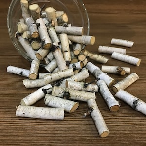 Set of 50 birch branches, white natural birch sticks, natural home decor