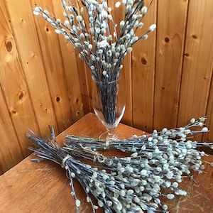 Rami di salice piangente, 30 pezzi, decorazioni pasquali naturali, rami di salice appena recisi, bouquet primaverile, Domenica delle Palme, arredamento rustico, soffici boccioli di salice
