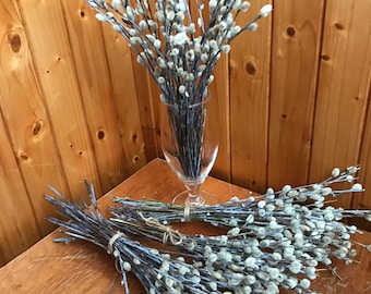 30 branches,Spring bouquet, willow branches, cats, a gift for a woman,natural