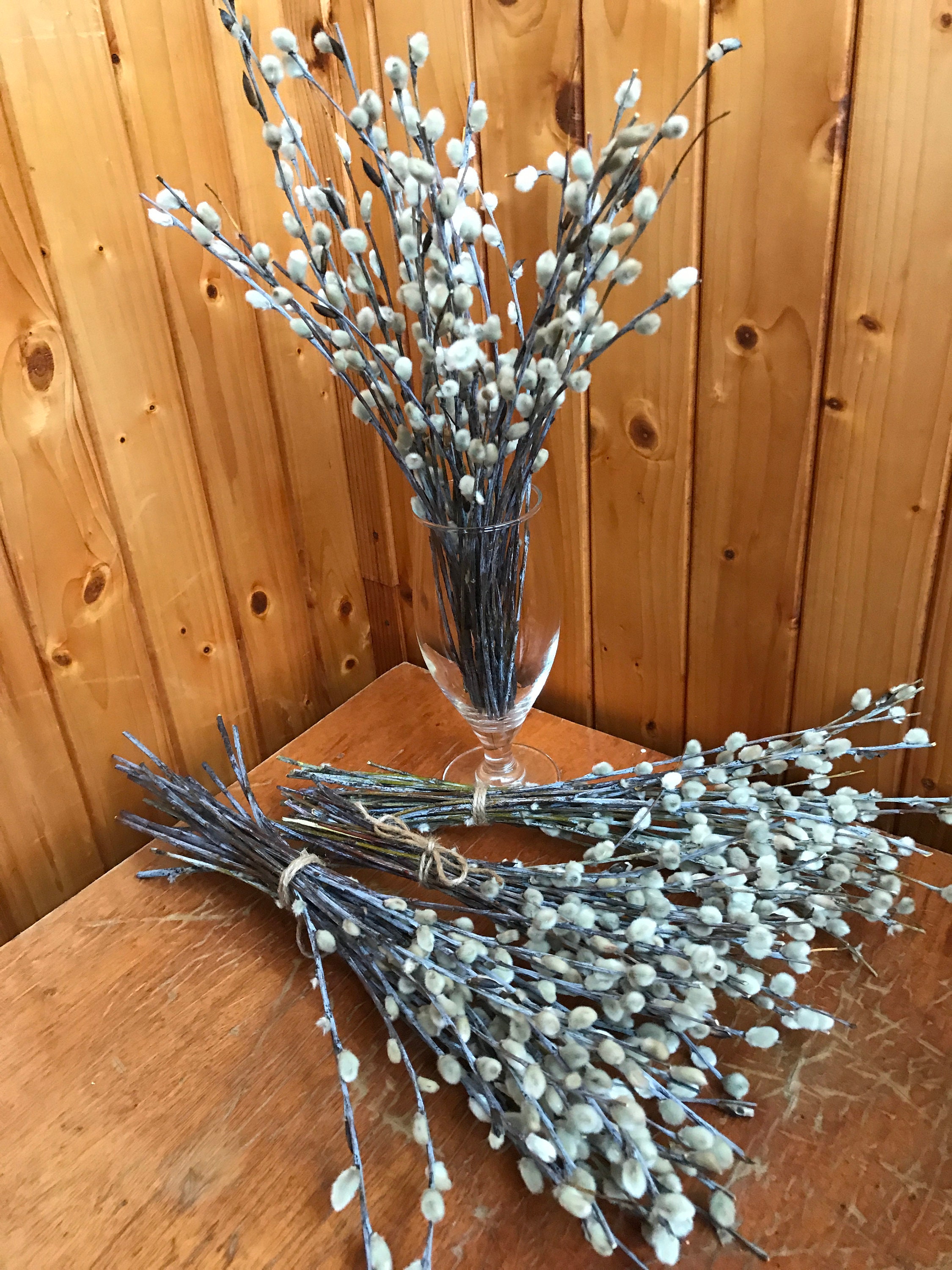 Aqumotic Artificial Pussy Willow Branches for Vases 1pc Tall Pussywillow in  Floor Vase Fake Twigs Espigas Para Decoracion Largas - AliExpress
