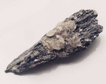 Kyanite Crystal Dagger - rough black kyanite quartz inclusions, unique crystal, unusual mineral formation, goth crystal decor, altar crystal