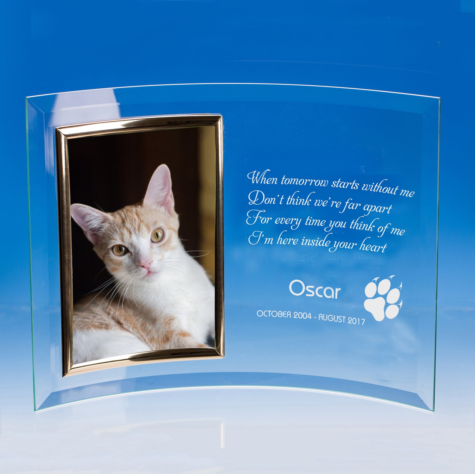 Cat Memorial Picture Frame Pet Memorial Frame Pet Loss Photo Etsy