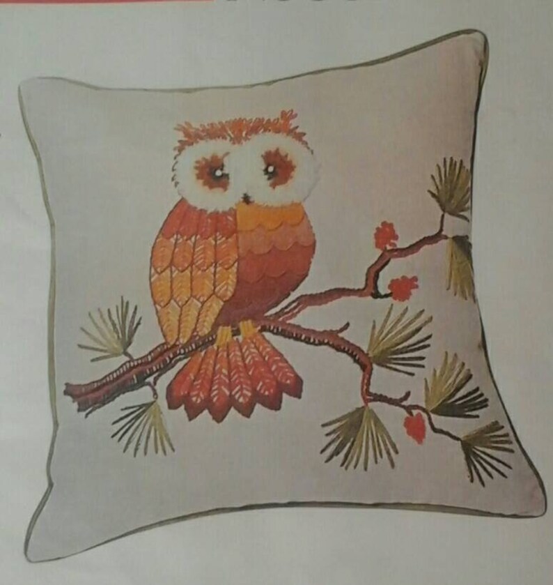 Hoo Me Owl Crewel Pillow Kit Bucilla Etsy
