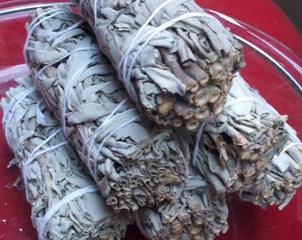 White Sage Bundles, 4" to 4.5" medium Sage Smudge Sticks