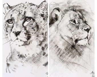 Any Animal Charcoal Sketch Portrait