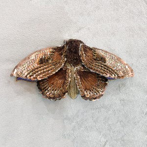 Large Brown Moth, Punch needle Embroidery Kit, Online class, Hand Beading embroidery kit, Stumpwork embroidery kit, sequins, beads
