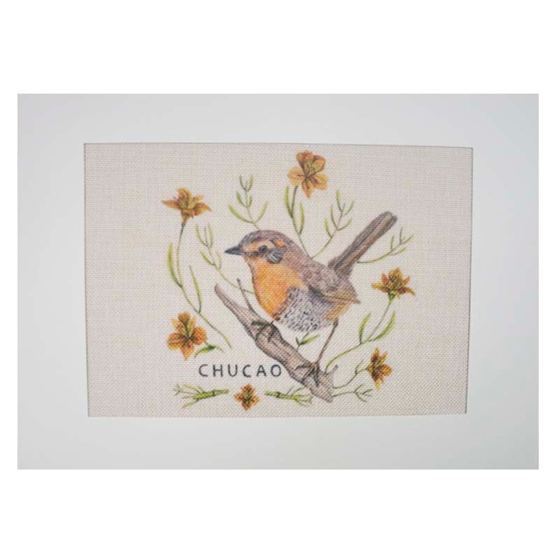 handmade embroidery embroidery pattern chuchao pattern Chucao embroidery pattern chilean bird watercolour illustration