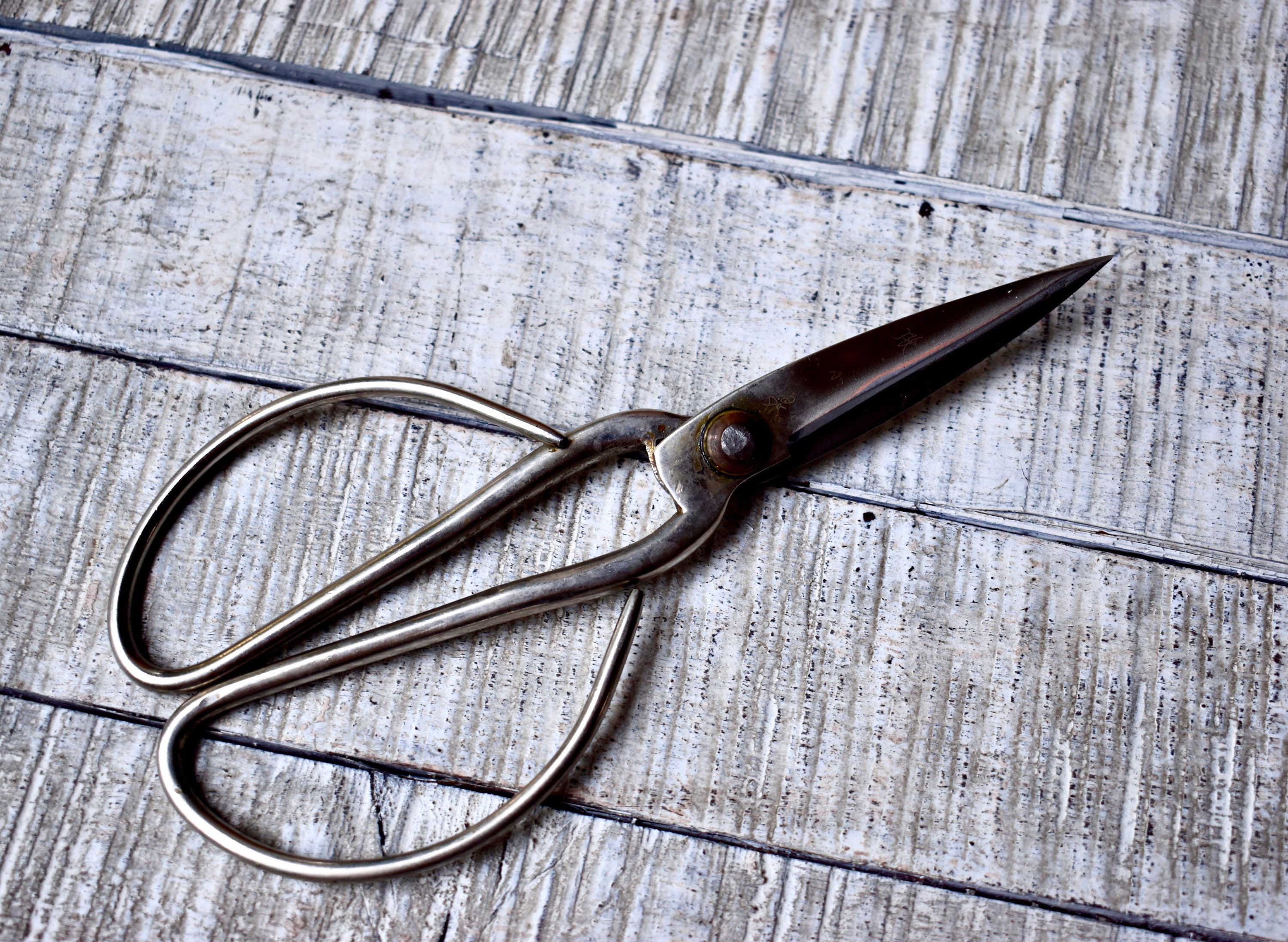 Rare Vintage Signed Japanese Hand Forged Bonsai Scissors Shears