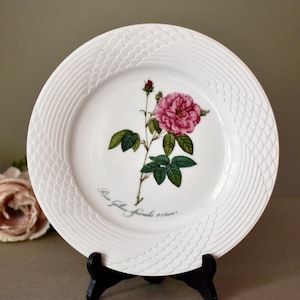 Piatto in porcellana vintage, decorazione per la casa, decorazione da parete vintage, piatto in porcellana per collezionisti