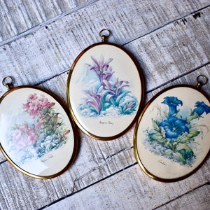 VIntage Three Small Botanical Prints in Gilded Metal Frame Home Decor Shabby Chick Decor image 2