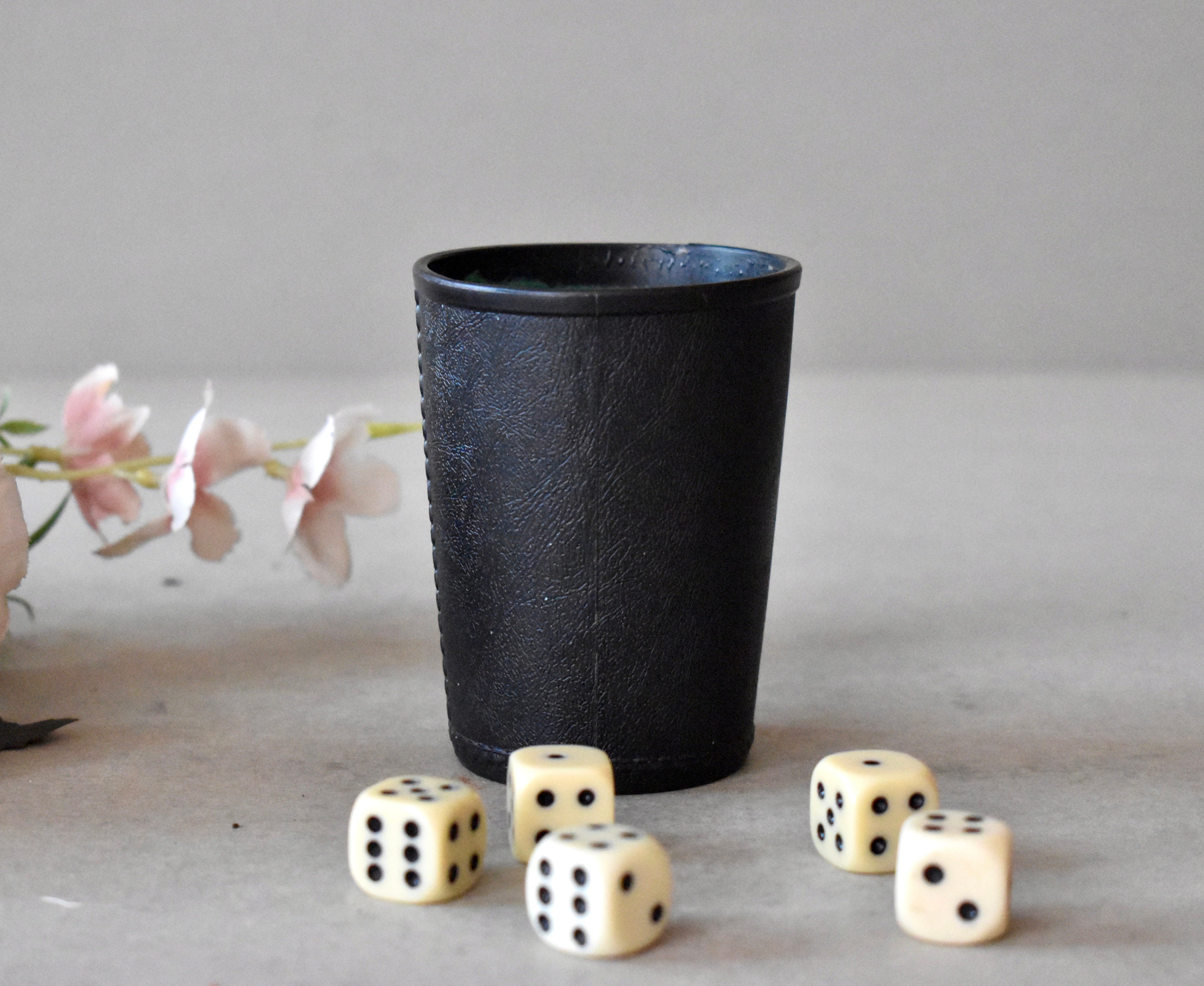 Jeu de dés avec gobelet et Carnet de Score - Cadeau pour fan de jeu