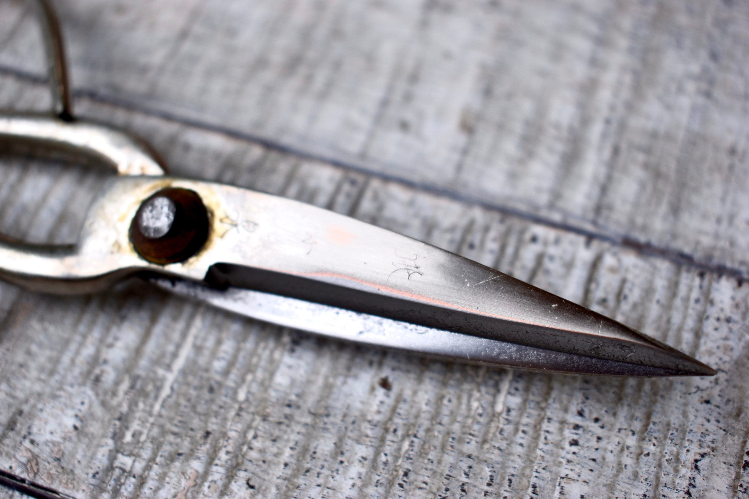Carved Dragon Metal Handle Bonsai Scissors - Gold Tone, Stainless Steel Blade, 126mm Total Length, For Craft & Sewing - View #5