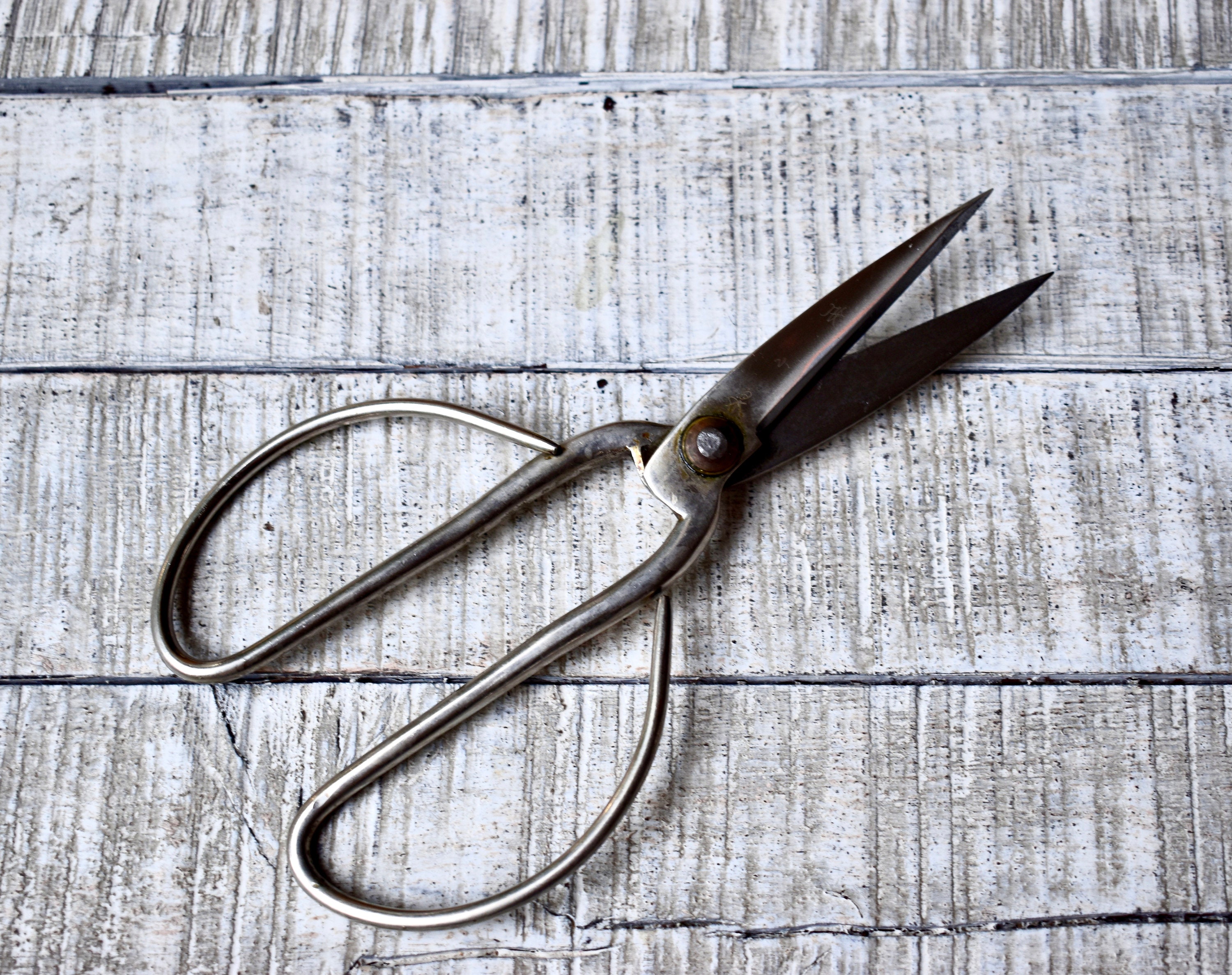 Vintage Japanese Bonsai Scissors Hammered Japan Still Scissor