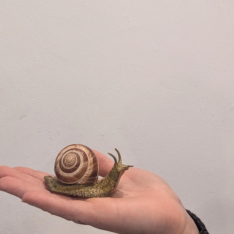 Polymer Clay Snail - Etsy