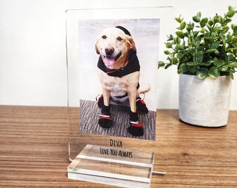 Pet loss Gift Photo Acrylic Plaque In Loving Memory Gift Grief Remembrance Condolences Passed Away plaque Member Passed Away Portrait