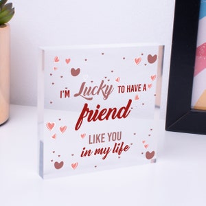 Friendship Gift Sign Best Friend Plaque Shabby Chic Acrylic Thank You Free-Standing Block