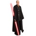 Star Wars Costume, Star Wars Tunic & Robe, BECOME your own JEDI, Custom Star Wars Sith Lord Costume, Adult Anakin Star Wars Cosplay 