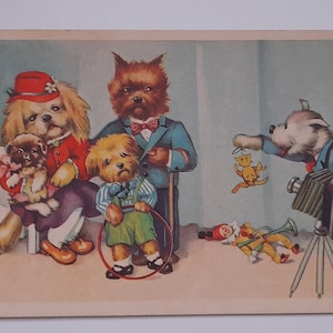 Photographer, Taking Pictures, Dogs Family, Dogs Postcard, Birthday, Funny Postcard, Drawn Postcard,Antique Art,Blank Vintage Postcard 1930s
