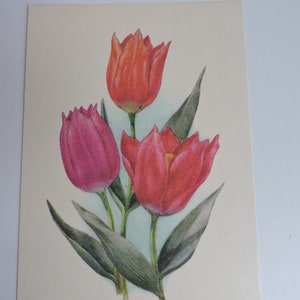 Tulpen, bloem ansichtkaart, vintage getekende ansichtkaart, verjaardagswensen, blanco bloemenkaart USSR jaren 1970